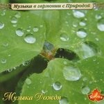 CD "Музыка дождя"
